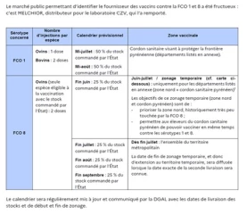Disponibilité des vaccins contre la FCO- 8
