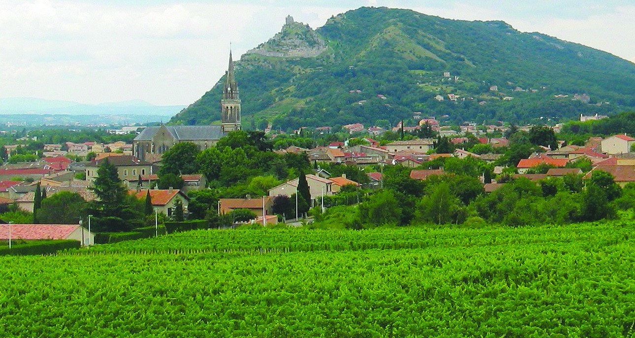 Les propositions agricoles des candidats à la circonscription 2 (Annonay)