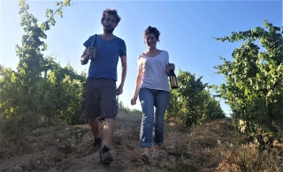 Domaine de Lorient : « On est fier de notre travail, et on a envie de le partager ! »
