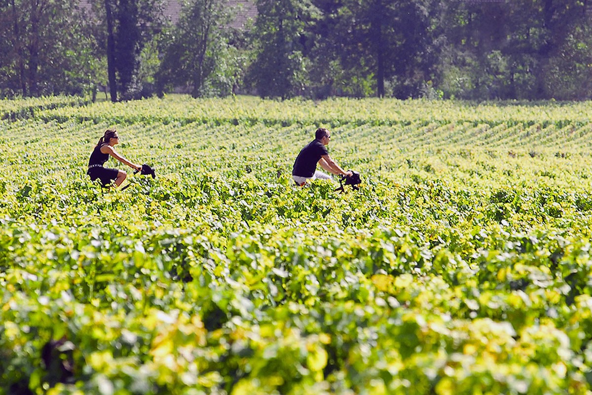 500 € à 2 000 € pour les professionnels de l’agritourisme