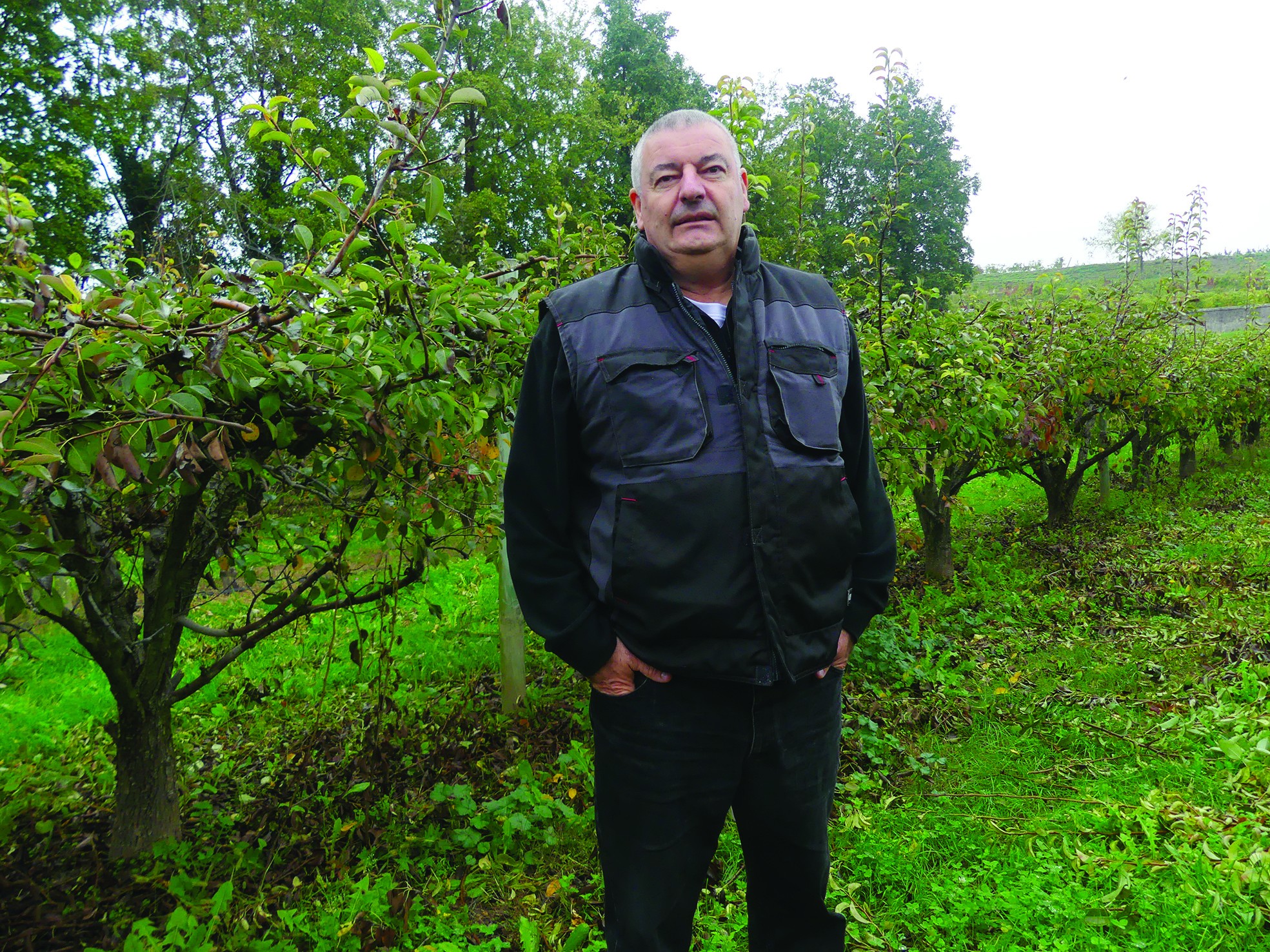 L’innovation au service des fruits et légumes