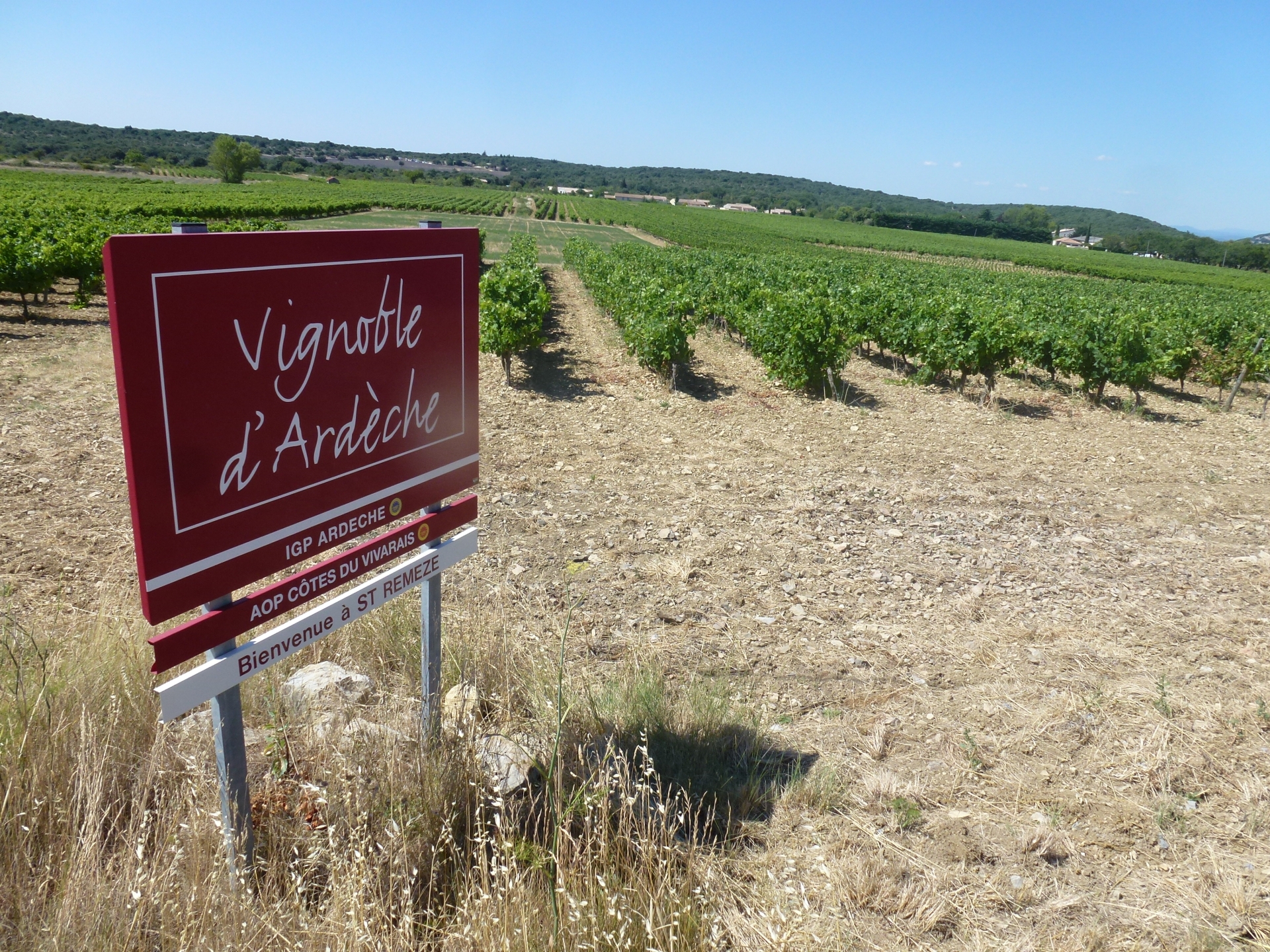 Romain Vignal, élu président de 2 000 Vins d’Ardèche
