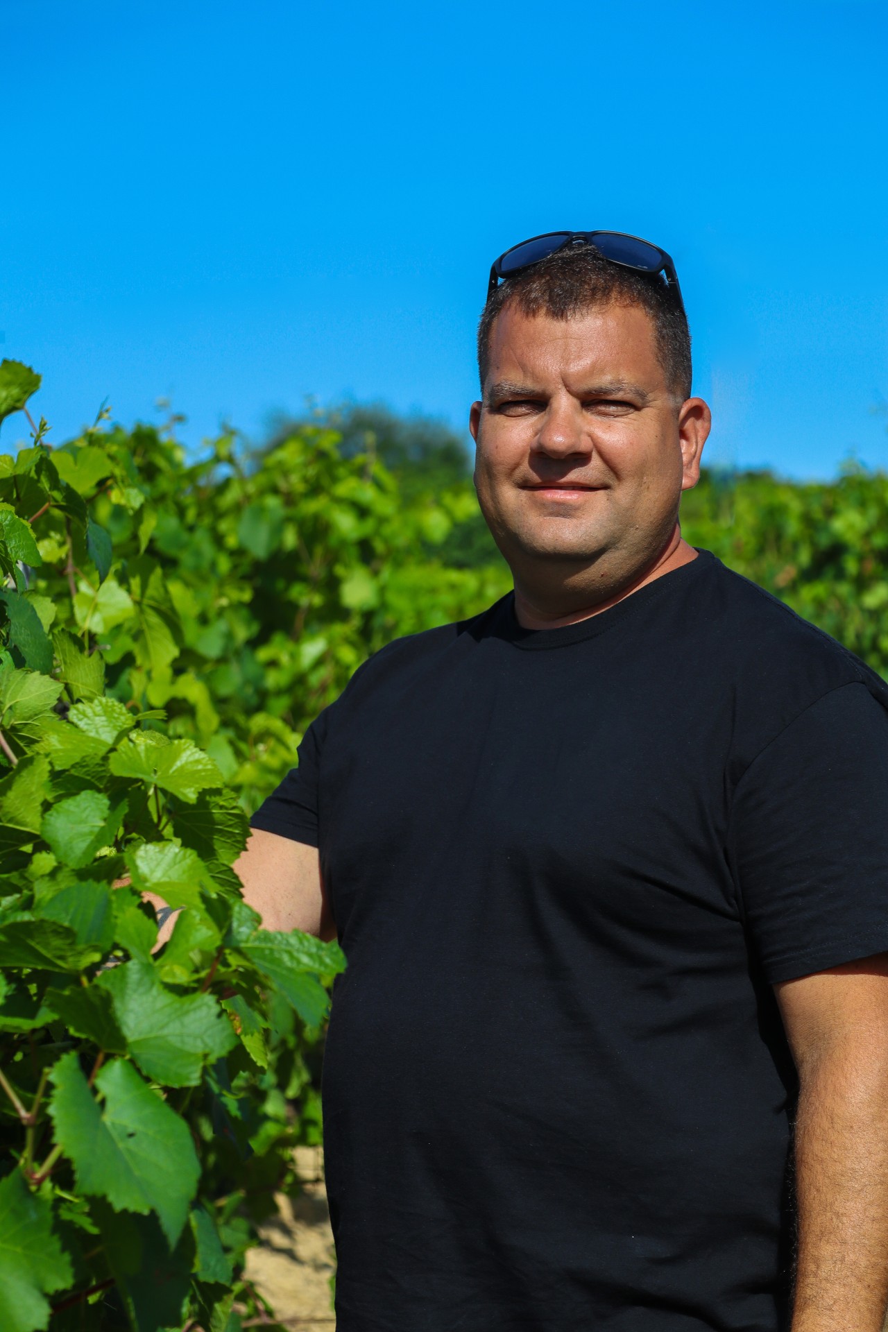 Romain Vignal :  un président déterminé à faire rayonner les vins du Sud Ardèche