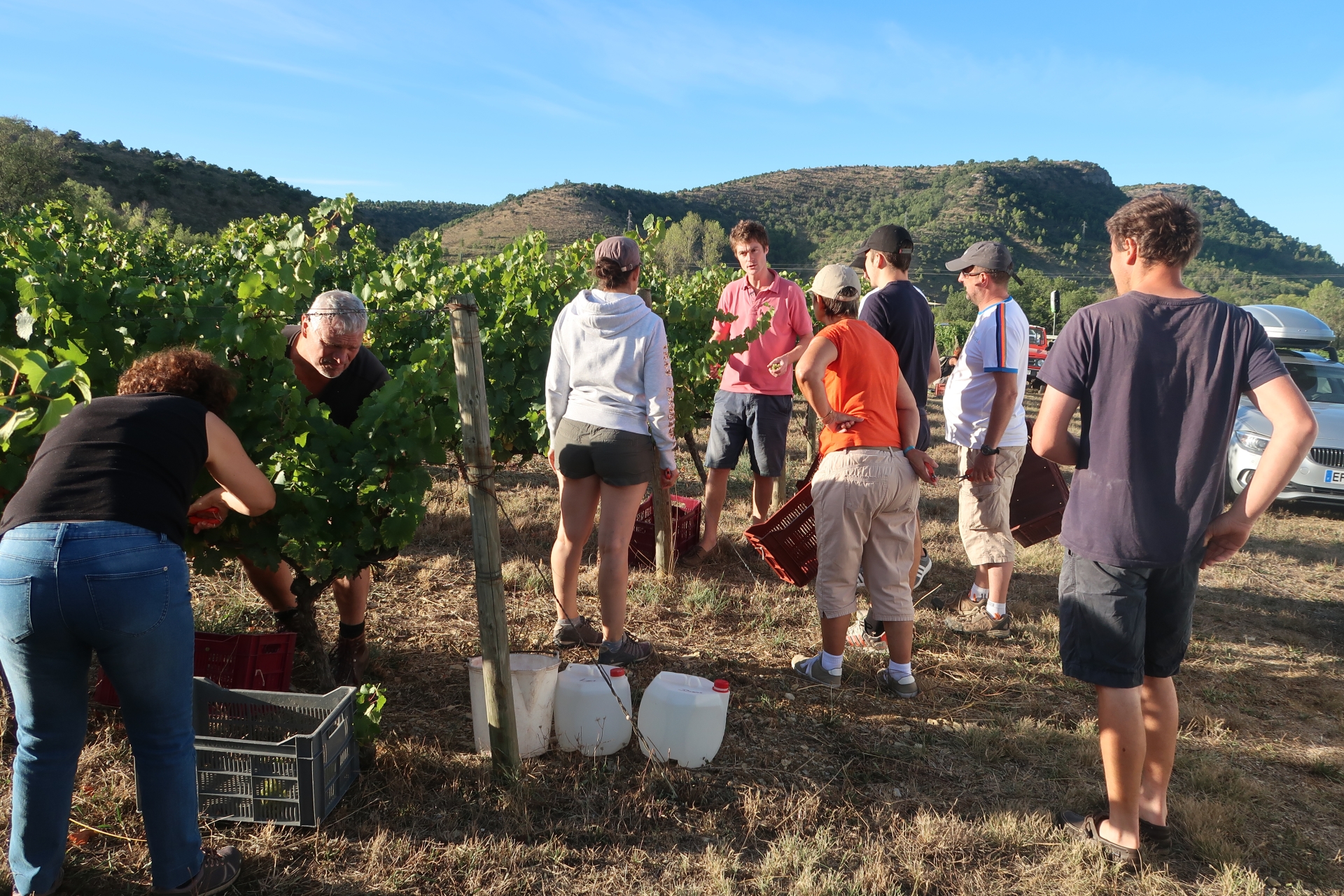 « Un outil majeur de la dynamique des vins du Sud Ardèche »