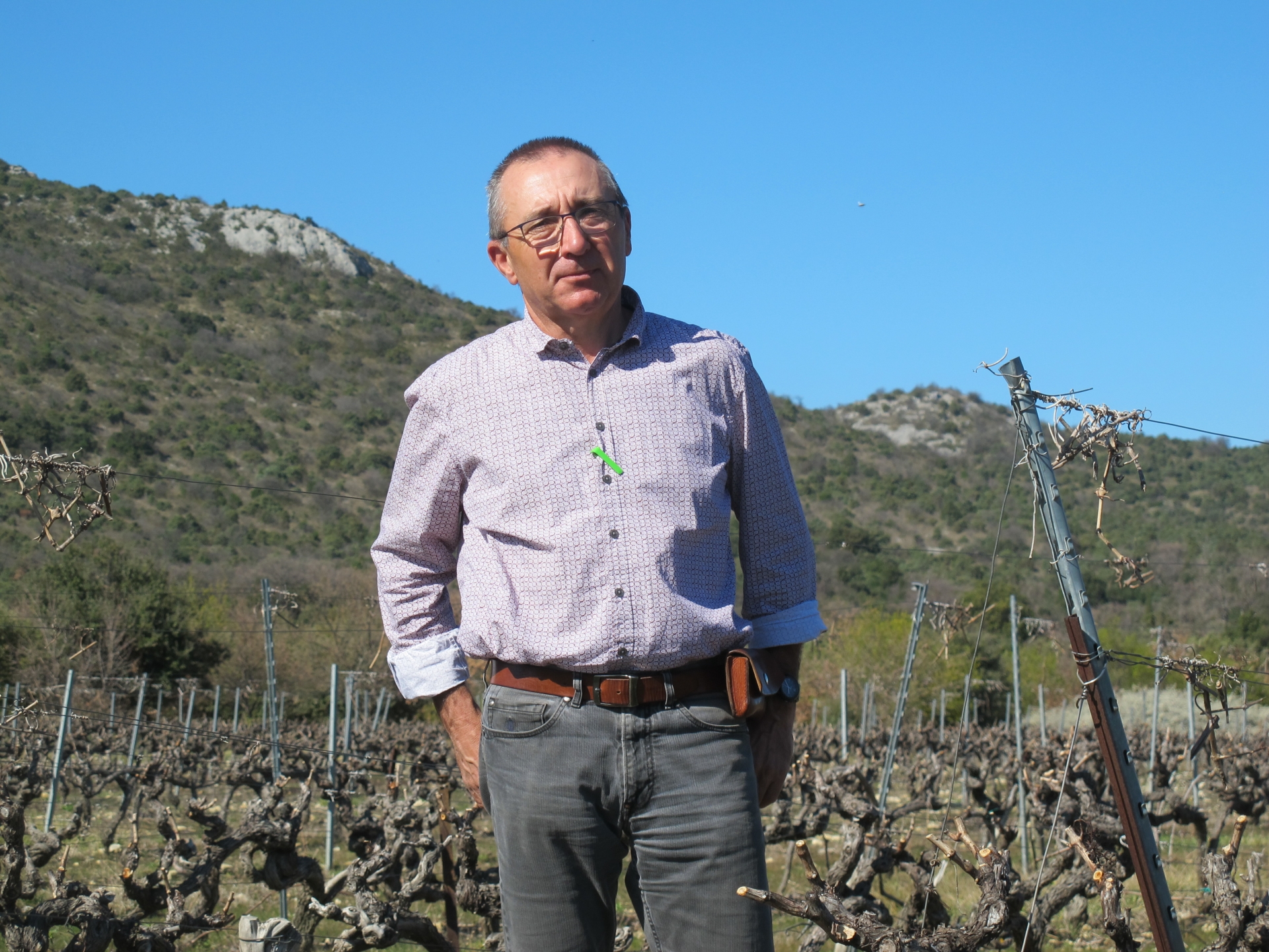 Côtes du Vivarais : « Tirer l'appellation vers le haut de gamme »