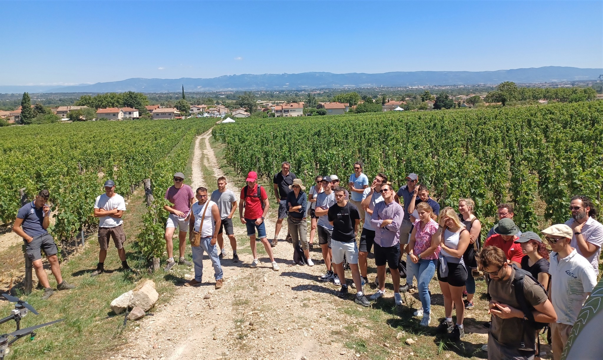 Quel vignoble pour quel climat ?