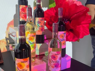Sortie des vins primeurs sous la gamme Orélie