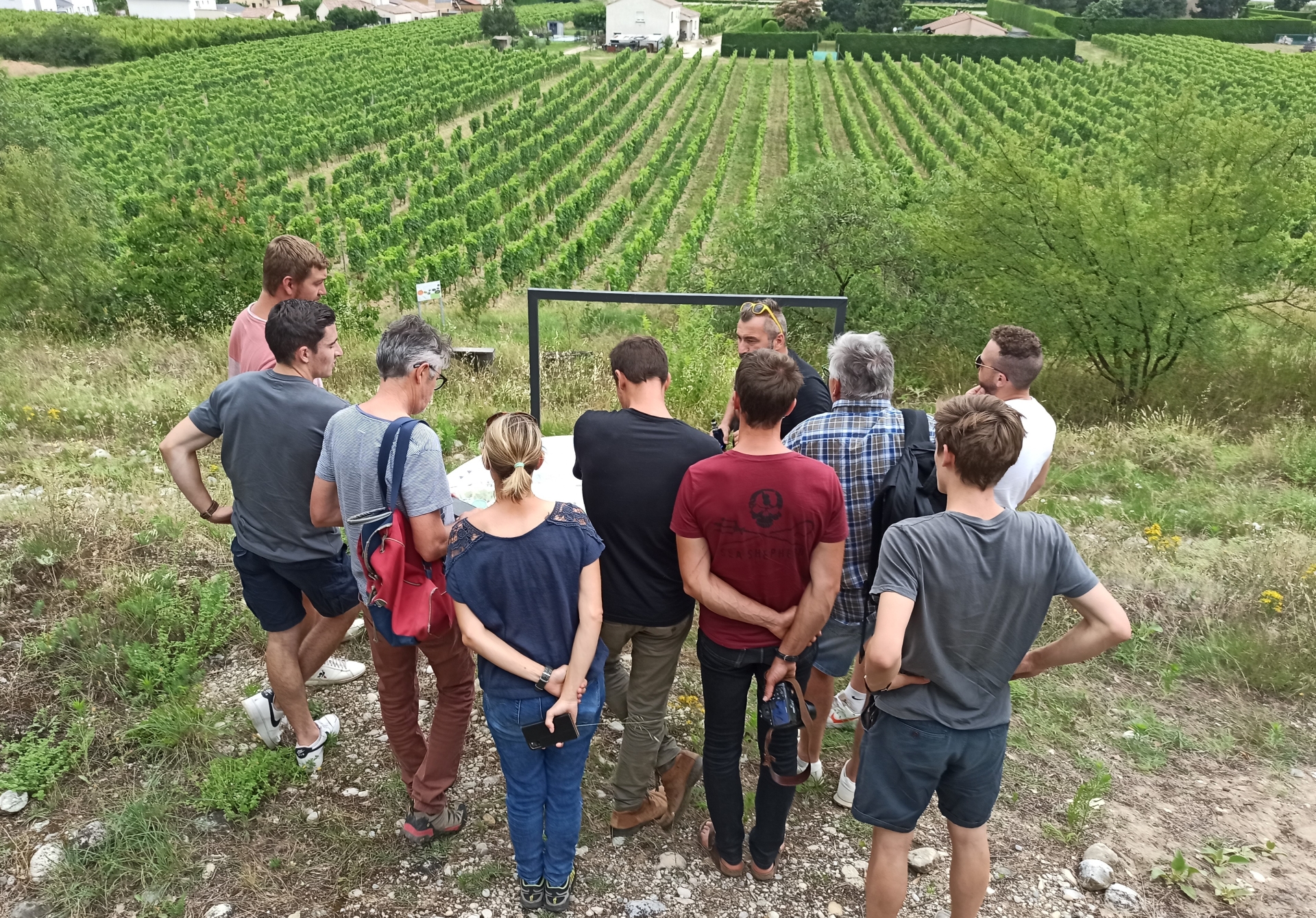 Les vignerons du groupe Dephy en voyage dans le Vaucluse
