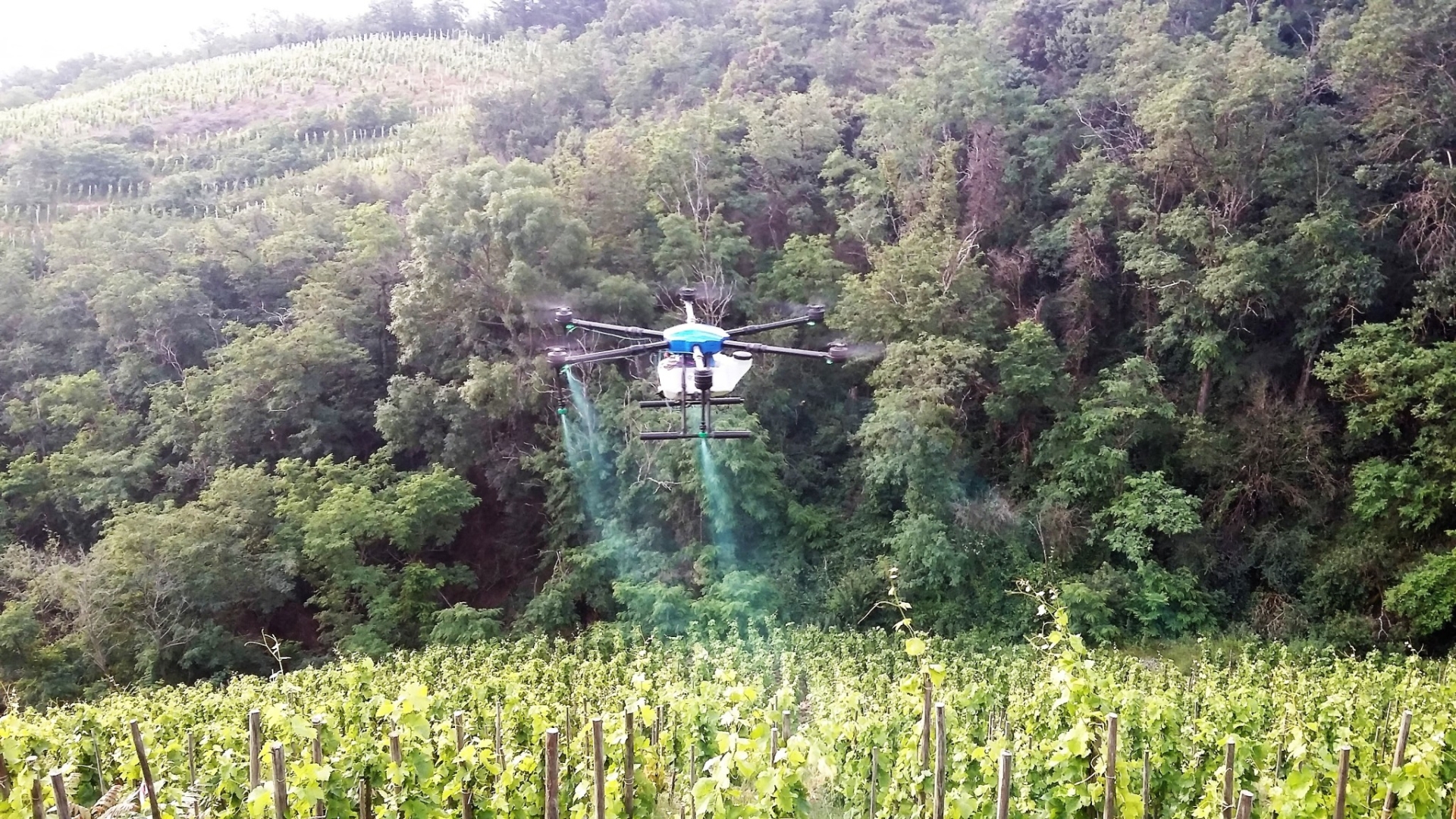 Des drones à l’essai pour traiter les vignes