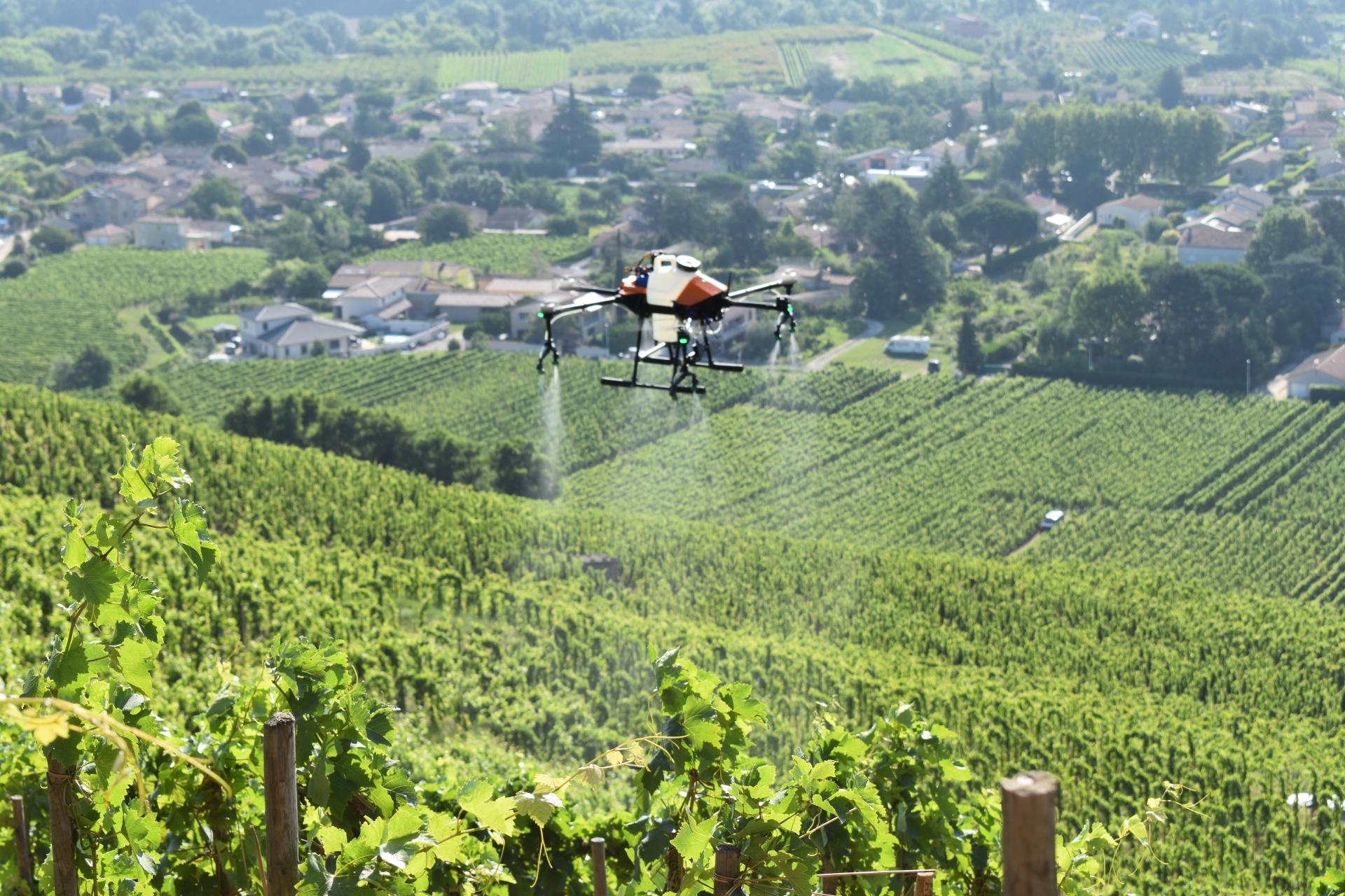 Traitement des vignes par drone : « De très nombreux bénéfices en coteaux »