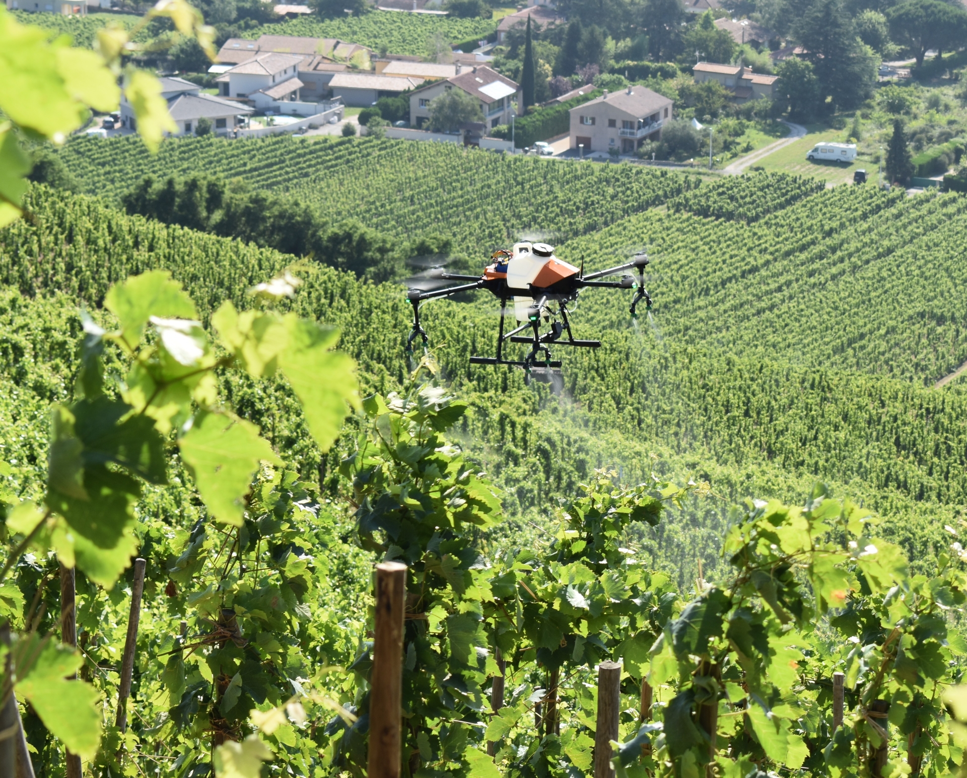Des essais ont été conduits en Nord Ardèche, ici dans le vignoble de Cornas