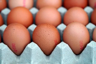 Baisse du prix des oeufs en rayons