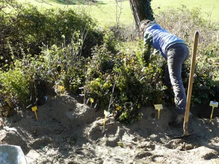 Une douzaine d’exploitations ardéchoises accompagnées