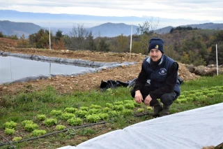 L’agroforesterie prend racine à Sécheras