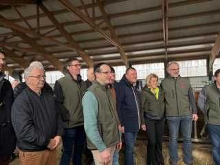 Le Bœuf des prairies fleuries cherche à se démarquer