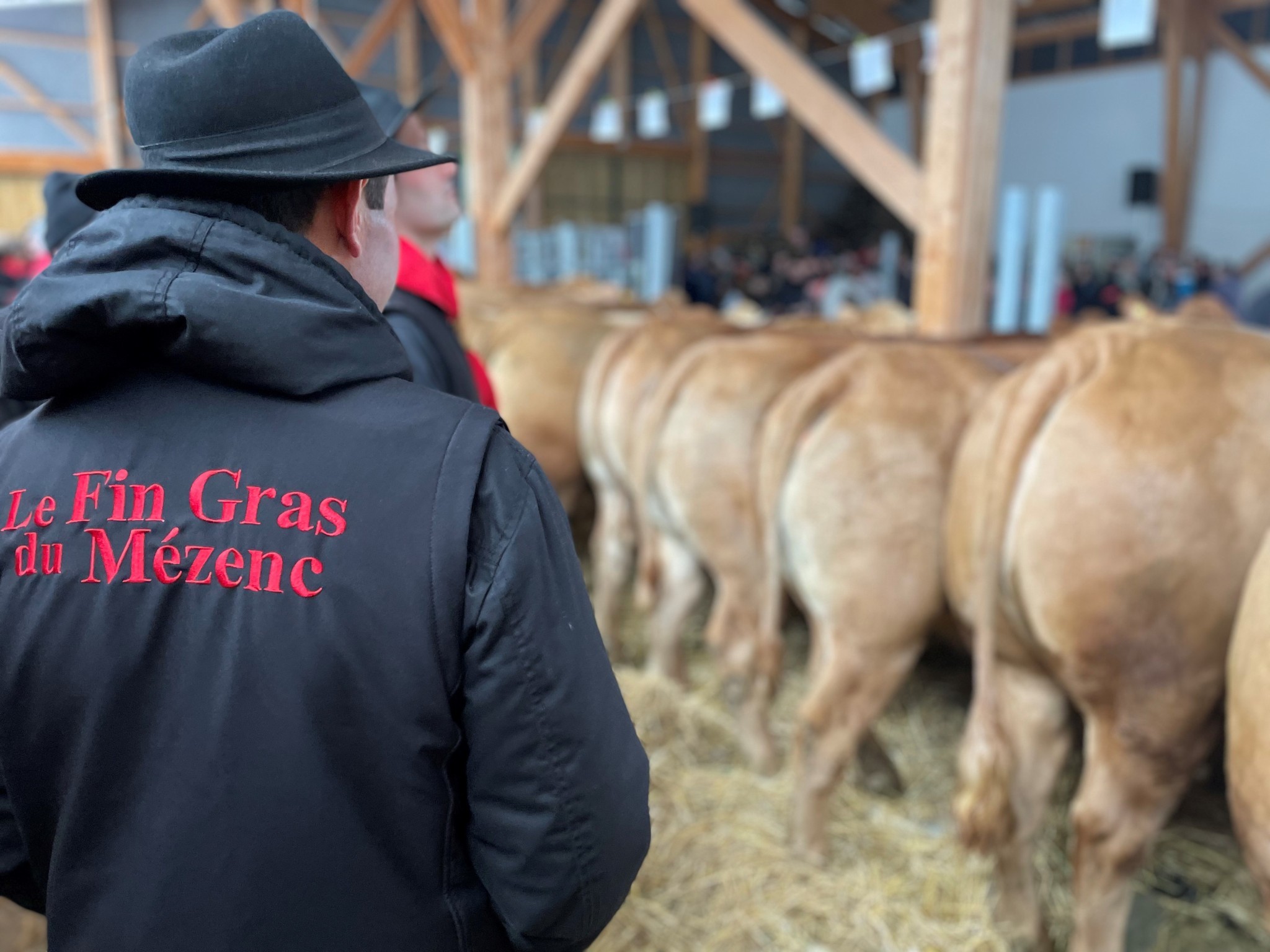 Une journée d’animation autour du Fin Gras du Mézenc