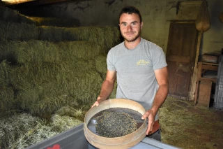 De la lentille verte Made in Coiron