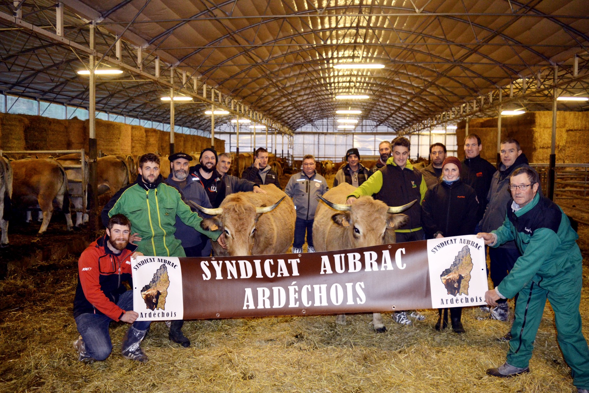 Une race docile et des éleveurs passionnés