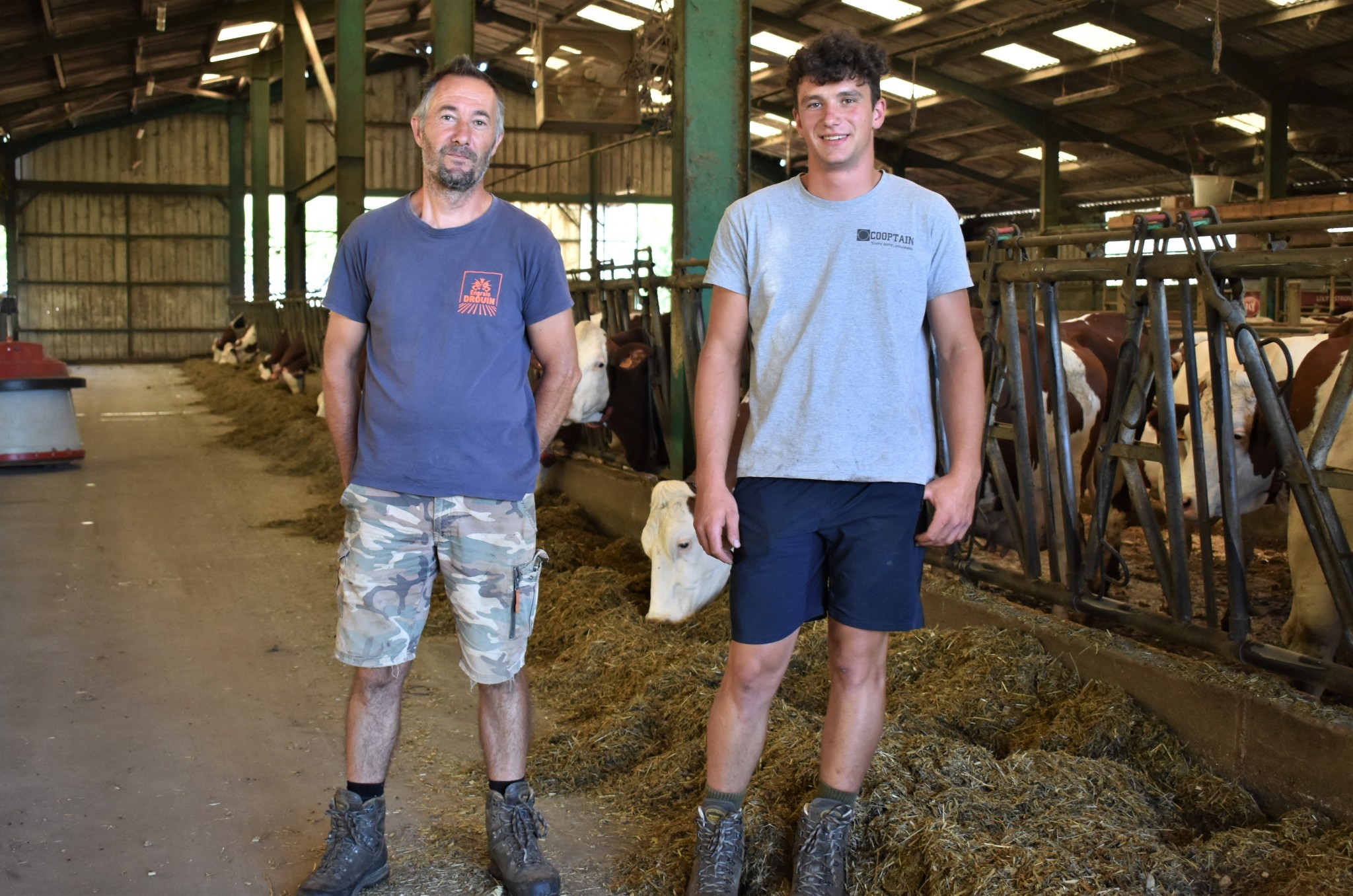 Traite robotisée : plus de confort pour les vaches et l’éleveur ! 