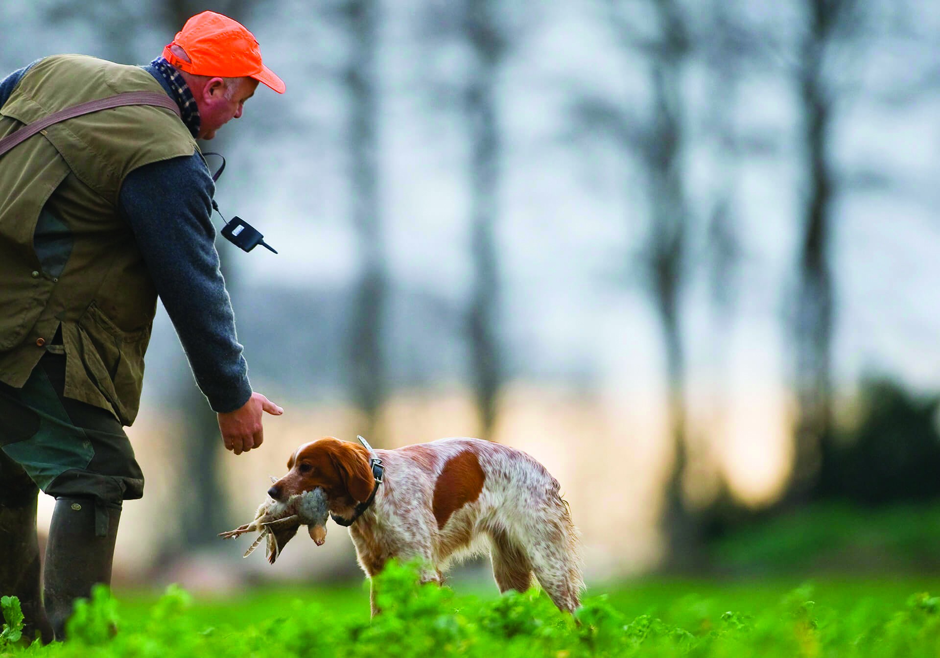 Agriculteurs, passez votre permis de chasse