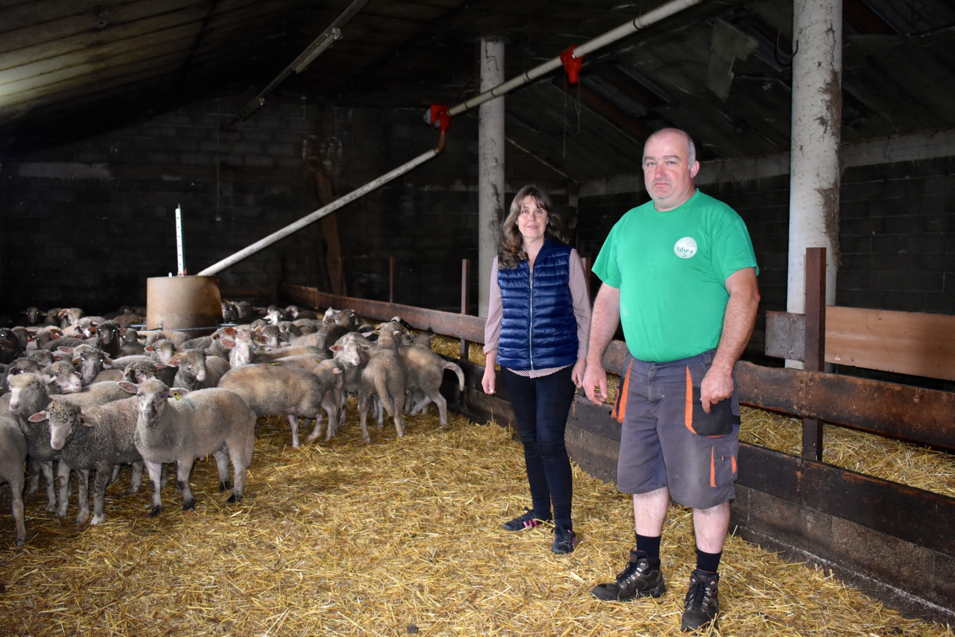 Marie-Christine et Jean-Marc Giraud avec leurs agneaux de races mérinos et blanche du massif central.
