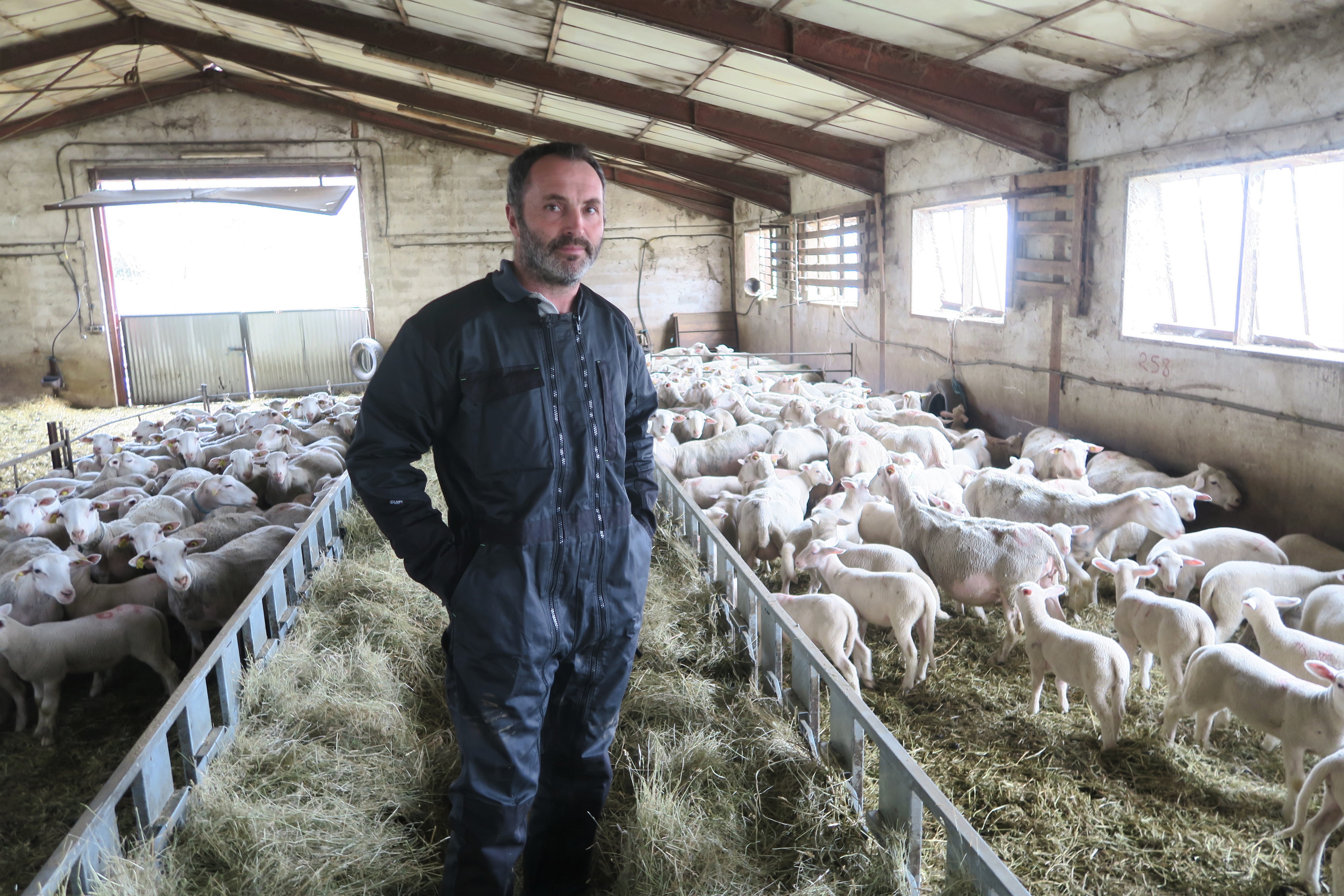 Damien Chaussignand, l'Agneau d'Ardèche par passion