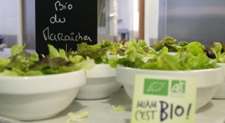 Cantines scolaires : seules 18 % des communes atteignent les seuils de la loi Égalim