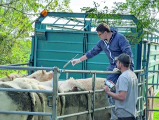 Vaccination : aller vite pour la ZR1