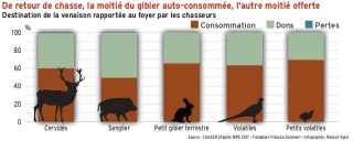 La moitié du gibier tué est autoconsommée, l'autre moitié offerte