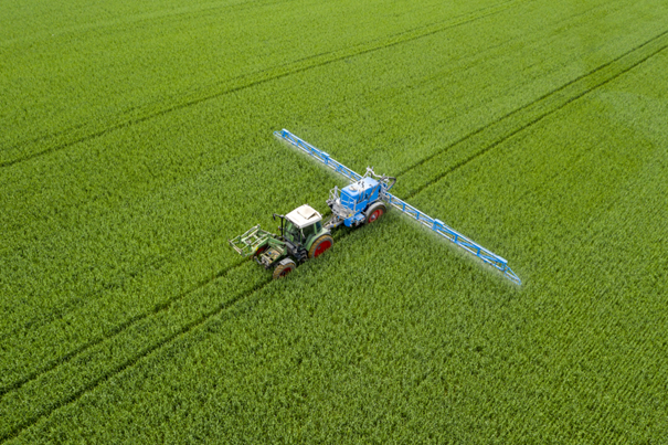 Le glyphosate prolongé jusqu’au 15 décembre 2023