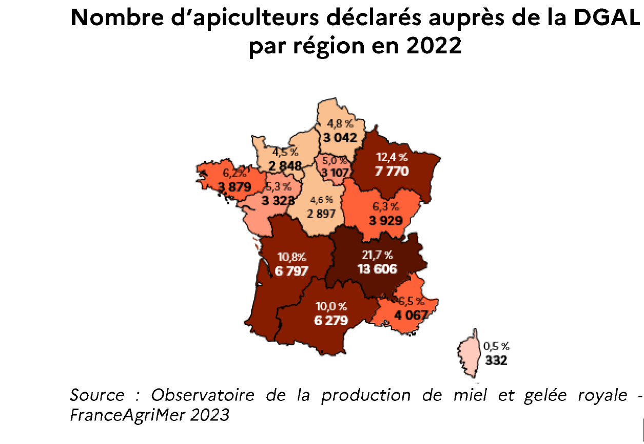 Forte hausse de la production de miel en 2022