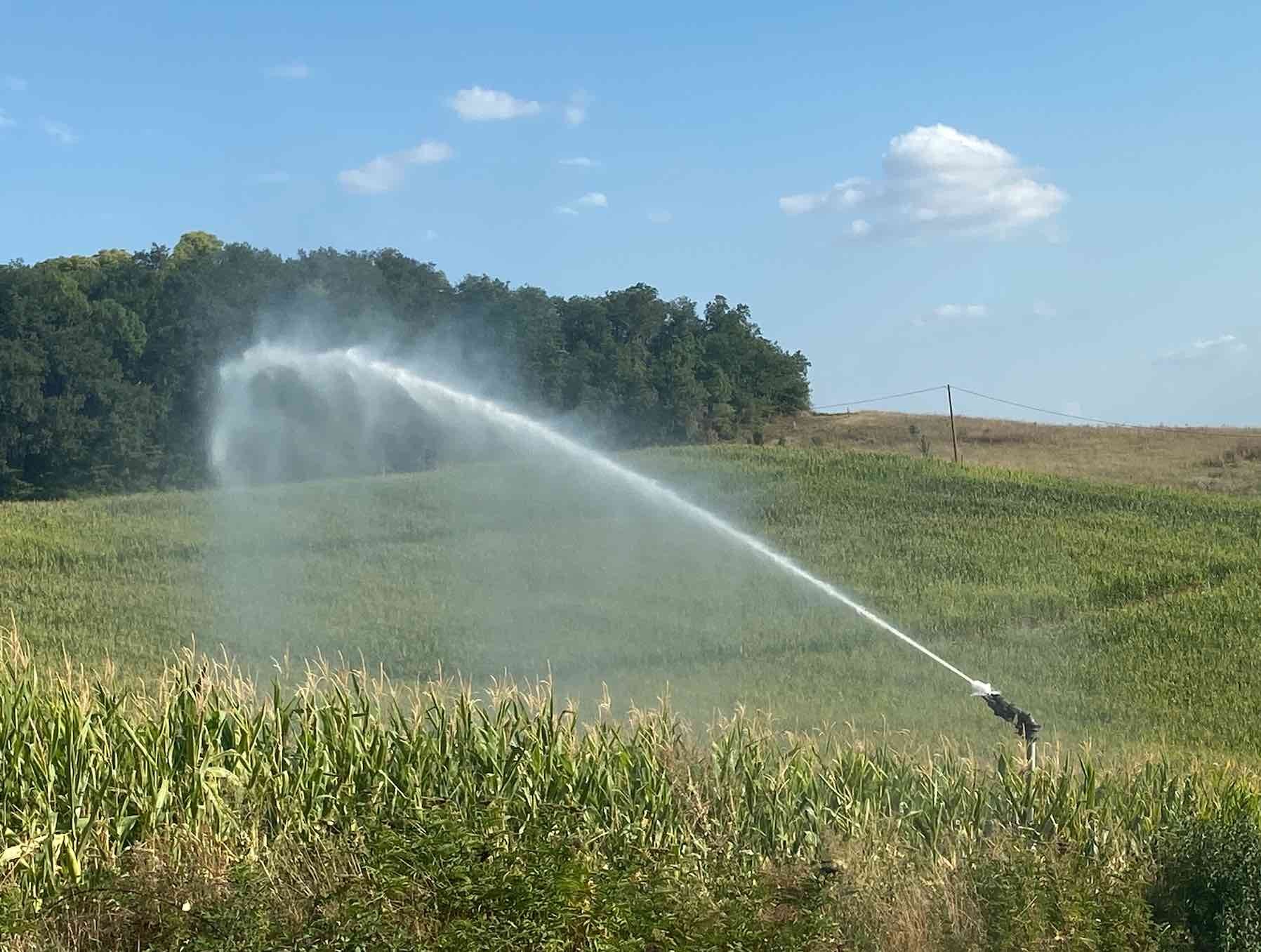 La sécheresse toujours présente dans les nappes phréatiques