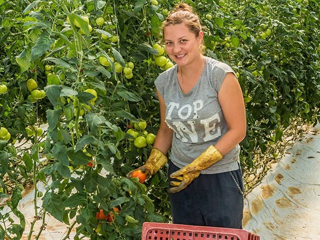 L’agriculture, secteur à classer « en tension » 