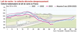 Lait de vache : la collecte décroche toujours