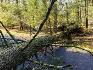 Les catastrophes naturelles, un impact majeur sur l’agriculture