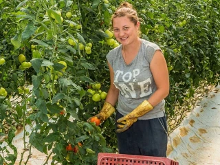 Vers une pérennisation du titre emploi simplifié agricole