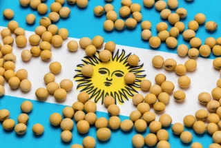 Argentine : la sécheresse plombe la production de soja