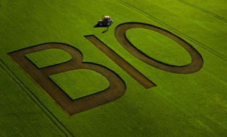 Forte hausse des surfaces bio mondiales