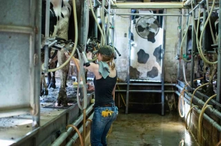 La FNPL reste mobilisée sur le prix du lait