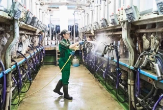 Renouvellement des générations : le pic démographique est passé