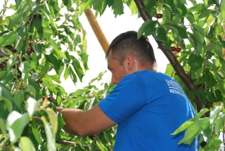 Ferme France : les chiffres provisoires ont été publiés