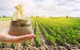 Repli des résultats de la Ferme France
