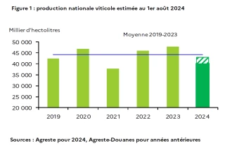 Vin : une production estimée inférieure à la moyenne 