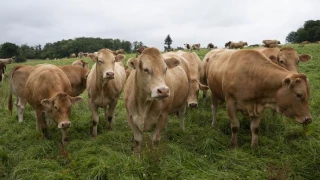 La campagne de vaccination prolongée jusqu’au 31 janvier