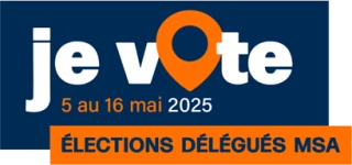 Comment voter ?