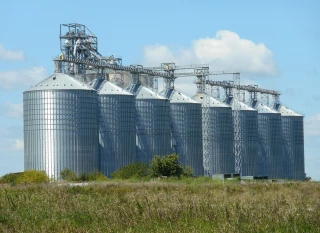 Baisse des prix des céréales en 2025, prédit la Banque mondiale 