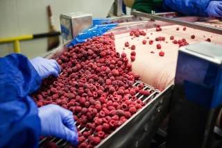 Fruits transformés : les faibles récoltes font exploser les prix 