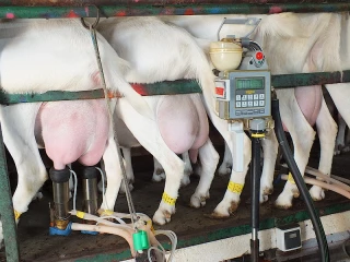 Le plan d’Agrial pour augmenter sa collecte 