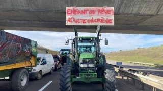 Les campagnes s'embrasent : les points en Aura