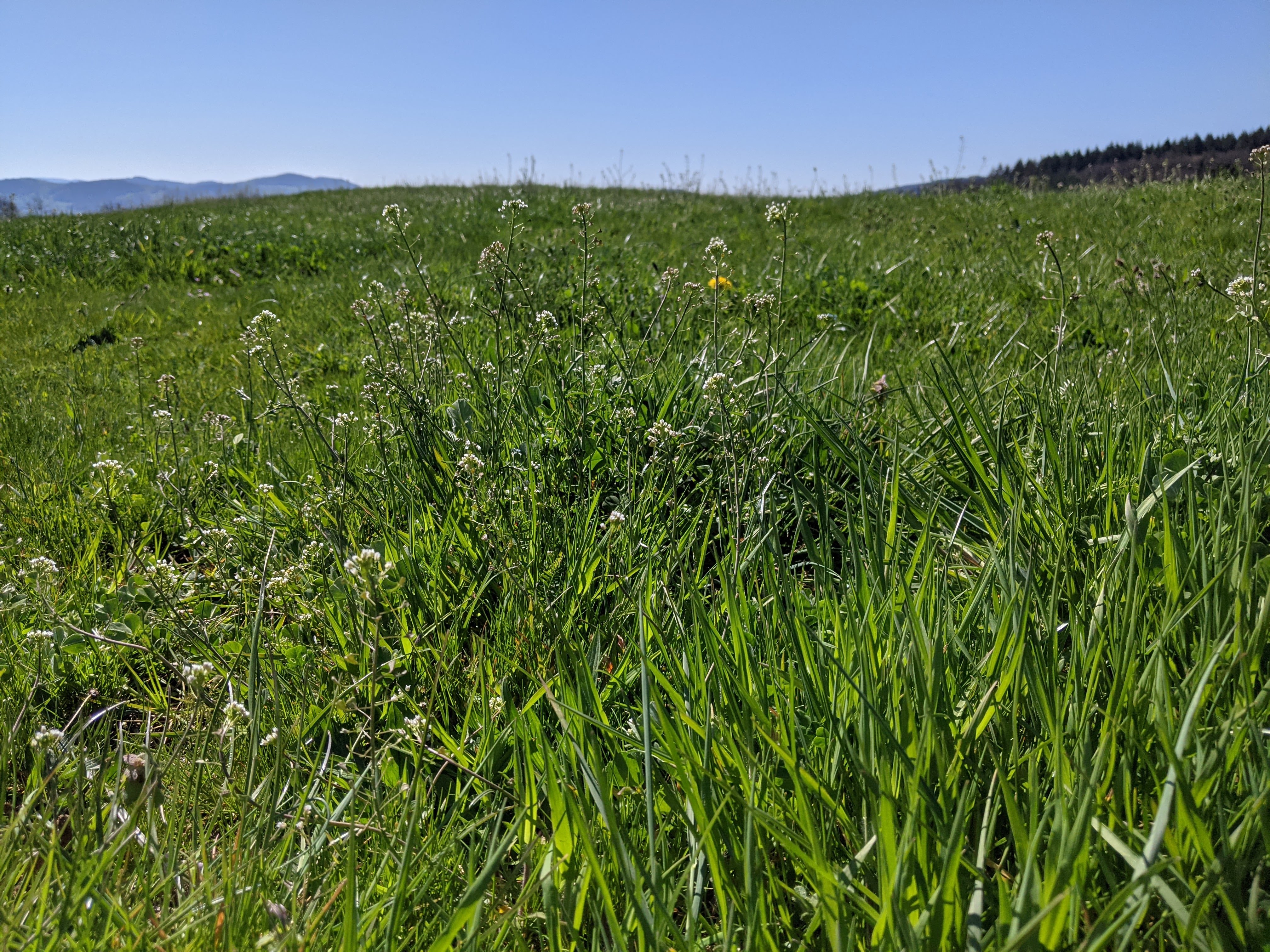 Réchauffement climatique : l’agriculture est attendue